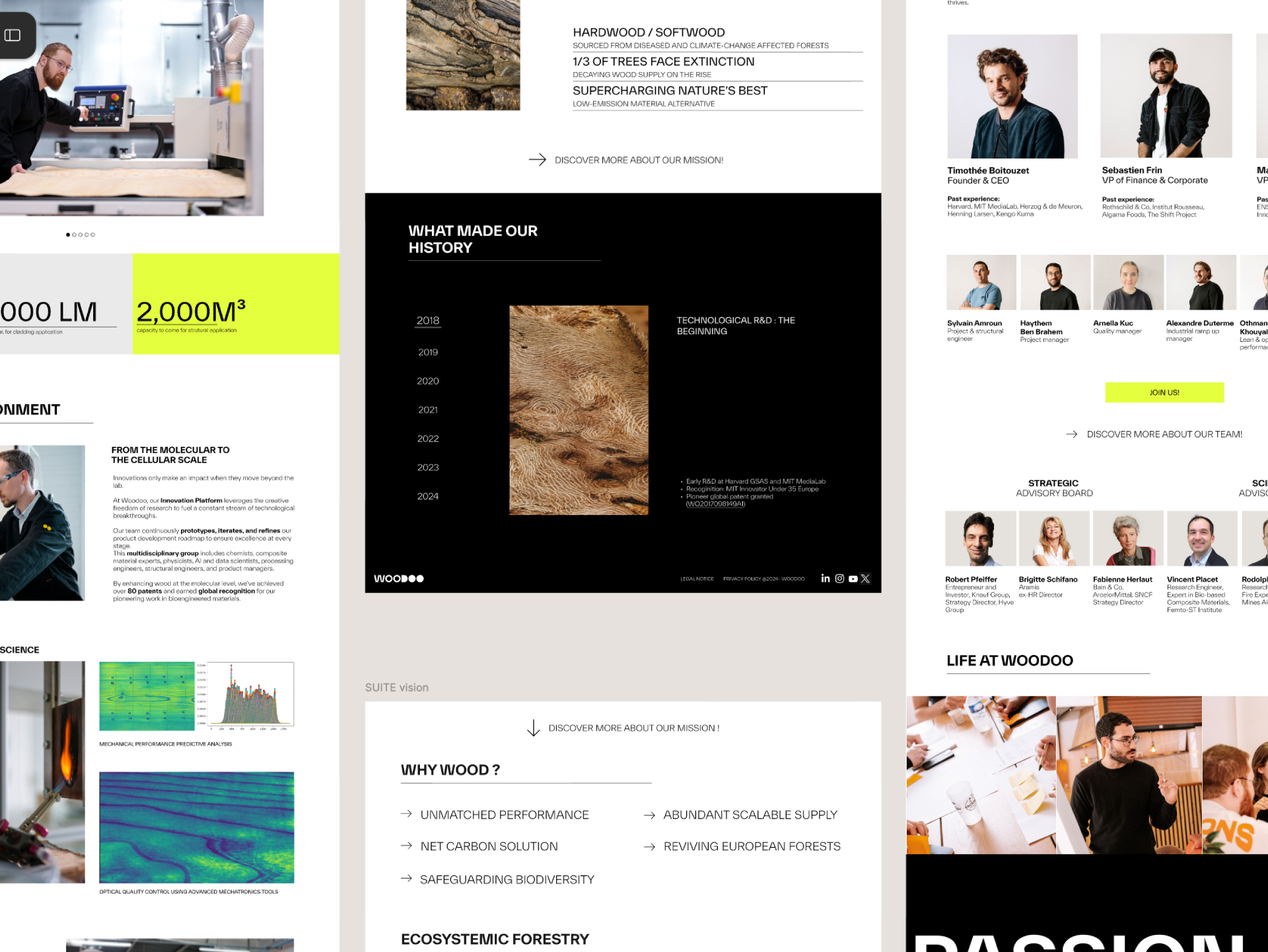 Création du site internet WordPress de Woodoo